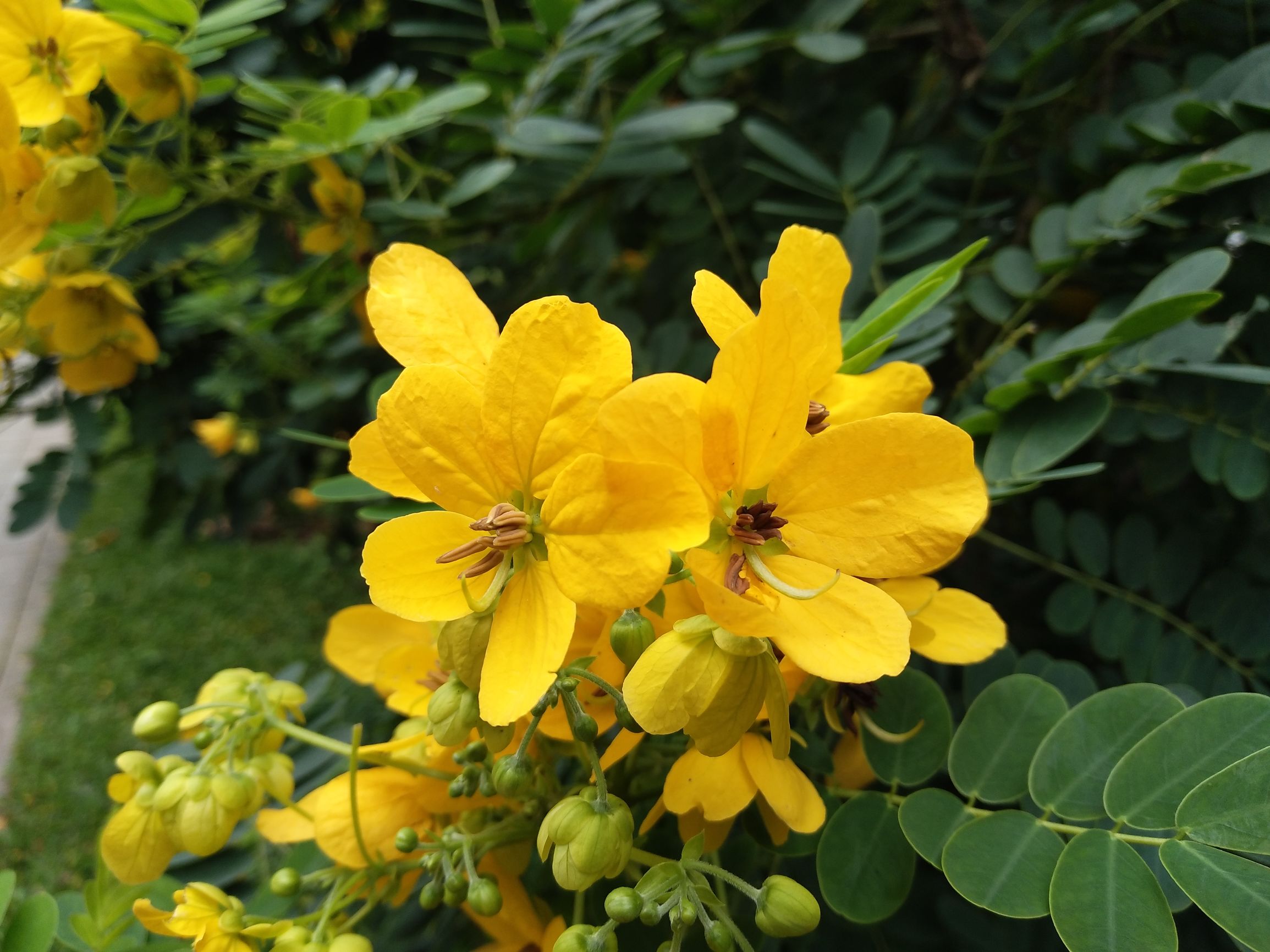 vivox9plus星空灰和黑色哪个好,vivox9星空灰跟金色尺寸一样