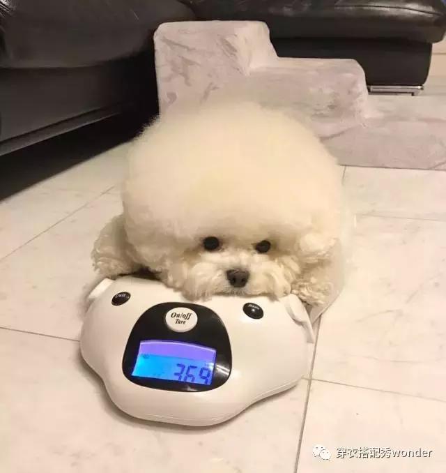 去海边穿搭推荐春季,海岛防晒攻略