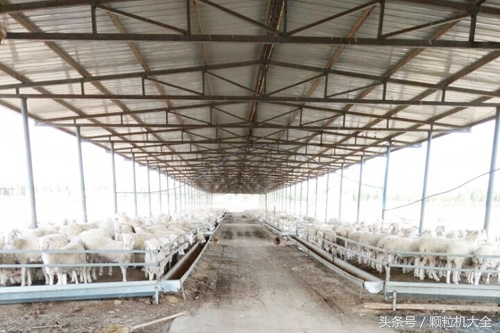 秸秆打成粉末饲料机,秸秆粉碎成饲料的机器