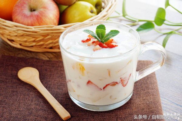 乳酸菌和酸奶哪个对肠胃好,乳酸菌会破坏肠胃吗