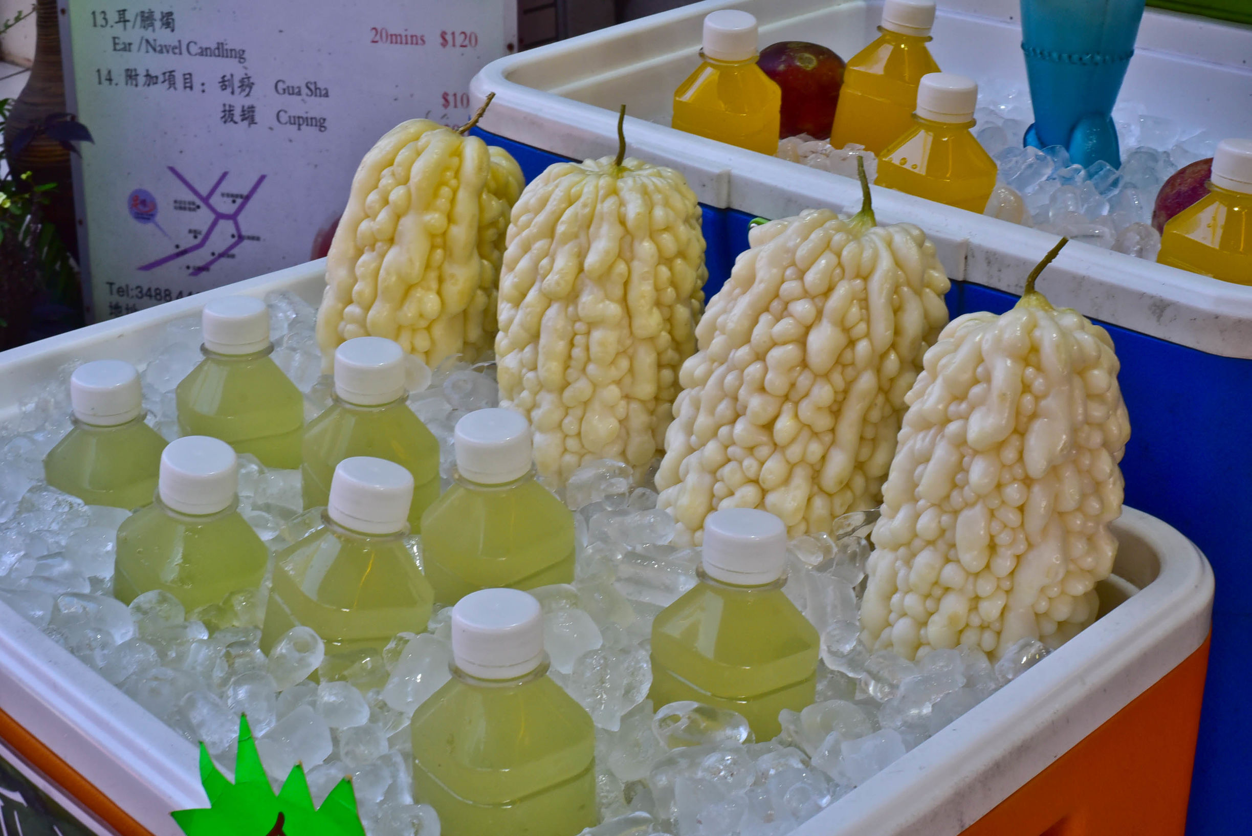 兔子游云南,兔子游老君山视频