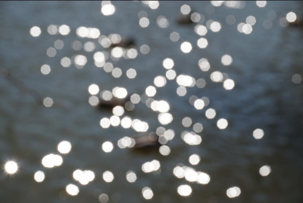 索尼微单哪款可与佳能m50比较,佳能500d与小蚁微单