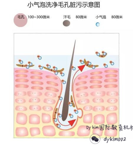 皮肤管理小气泡仪器选择,小气泡皮肤管理教程