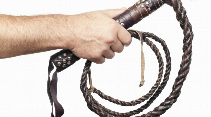 怎么才能怀上双黄的蛋,怀孕初期的鸡要怎么做才有营养