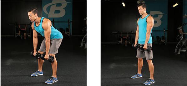 男人增臀肌训练动作,男人练腰部训练动作