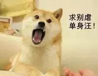 网上这对很拉风的情侣竟然来德阳了，他们拍的照片是这样的！