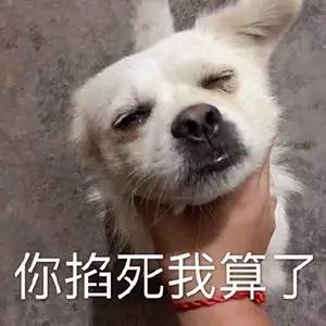 神奇的奇字,网络一些奇形怪状的字