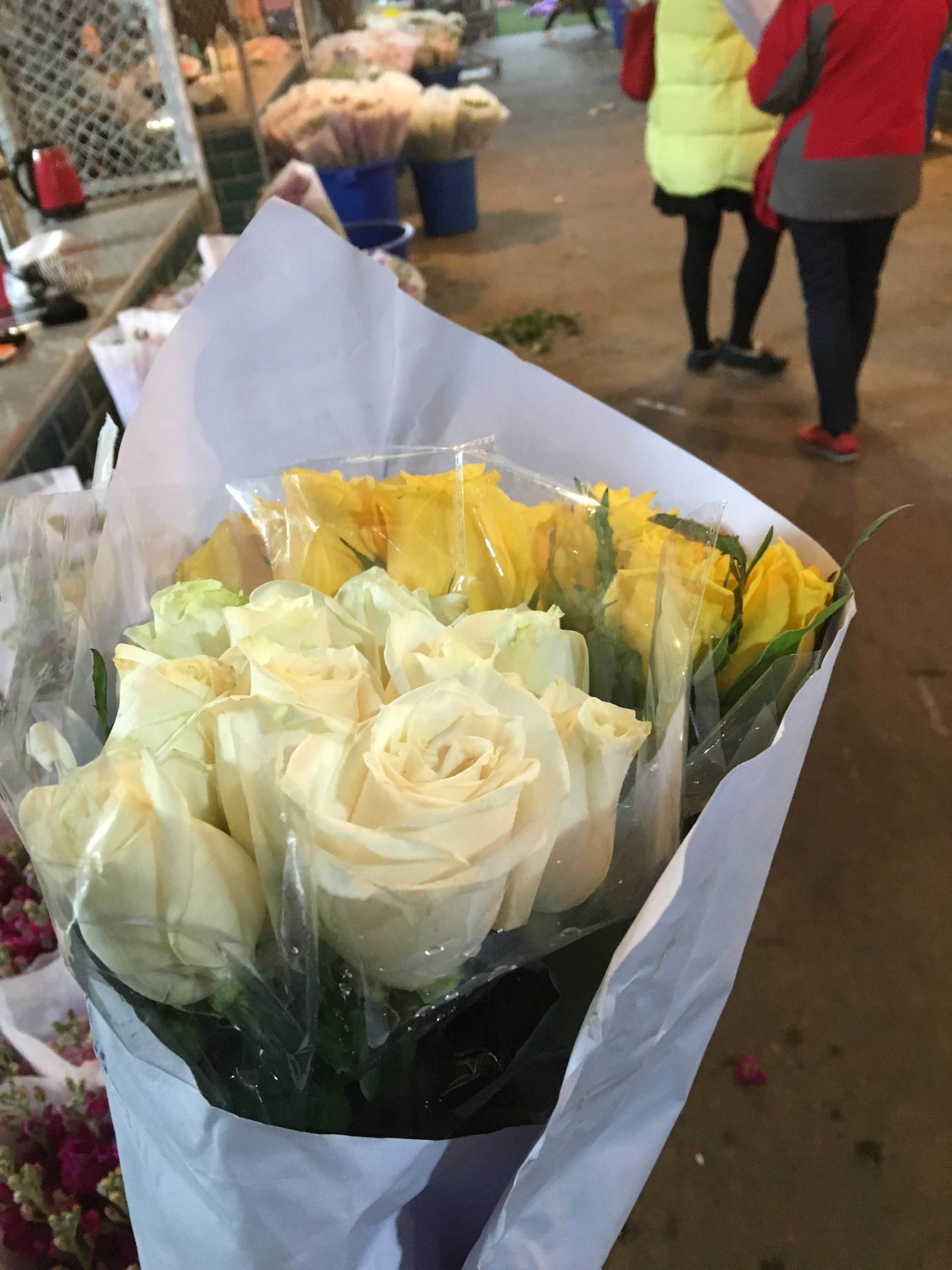 年宵花市探“鲜”记(一)之孤独的花大姐