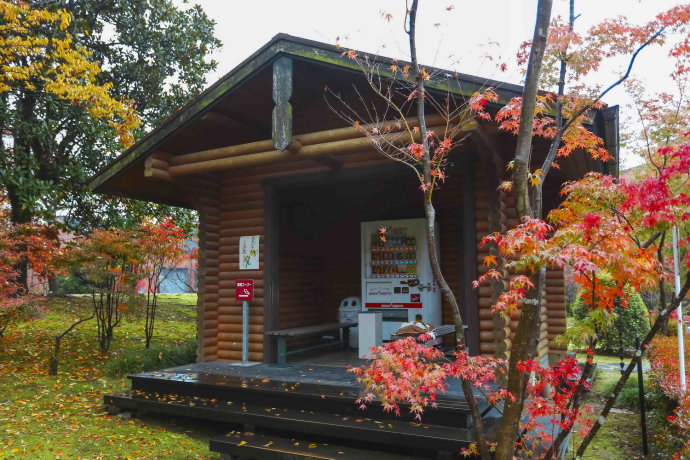初冬九州温泉旅游攻略,与闺蜜冬日游山庄