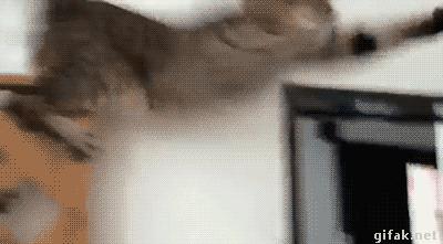 信息快报｜第281期（今日共18条）好想使劲抓着雾霾脖领子，问问他我的快递呢？