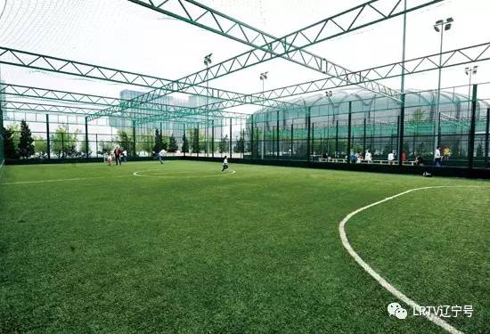 沈阳将建专业足球场,沈阳建设公园足球场