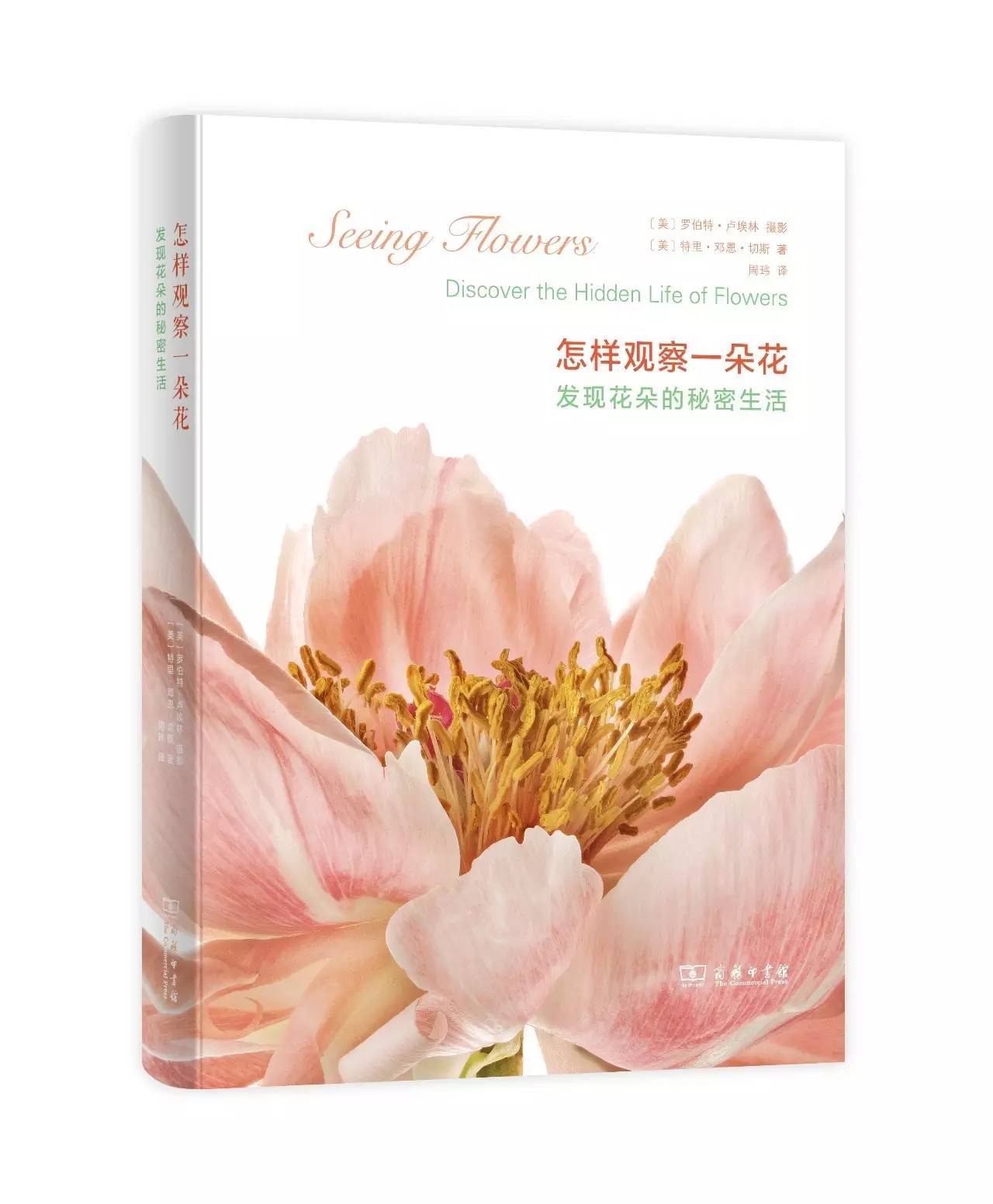 美得让人窒息的景色,美得让人窒息的紫藤花