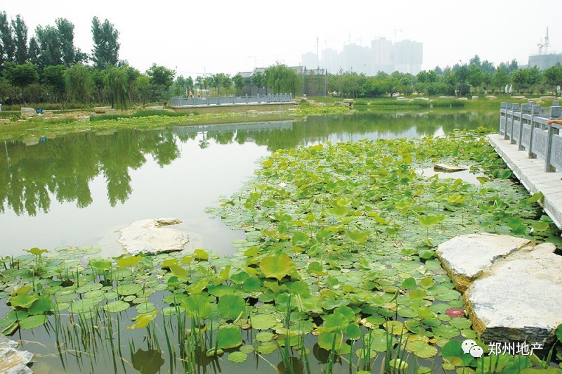 谁说郑州没有网红打卡地,郑州市没有好玩的地方