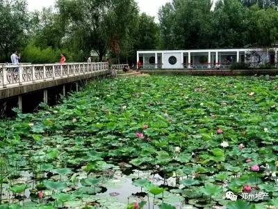 谁说郑州没有网红打卡地,郑州市没有好玩的地方