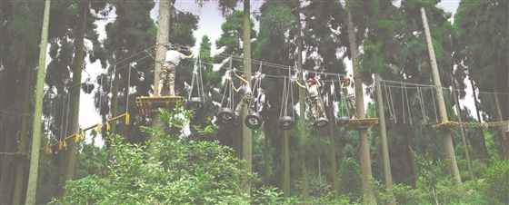 鎺掗櫎涓囬毦鏀诲潥鍏嬮毦,鎺掗櫎涓囬毦鎶崋鏂╂