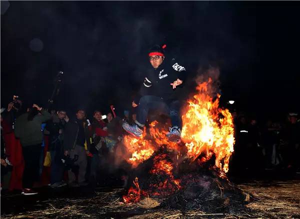 就在今日,百万鲜花盛放!南海这个“花花世界”等你来赏!
