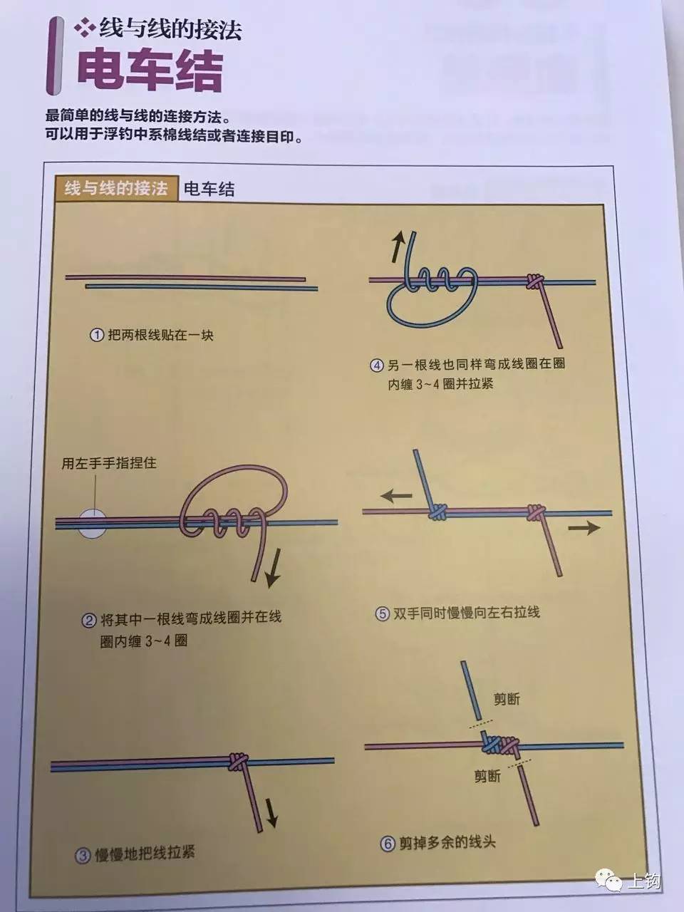海钓惊人的捕鱼技巧大型鱼类上钩,岸边海钓技巧绑线