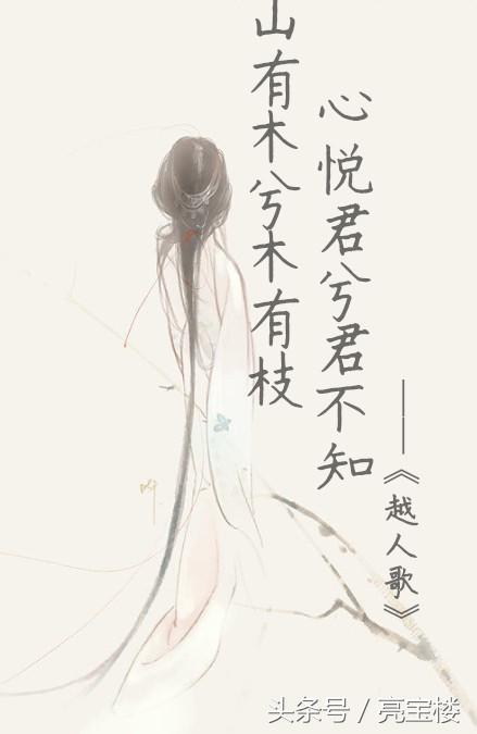 心悦君兮君不知讲的是什么故事,山木有枝心悦君兮君不知男人版
