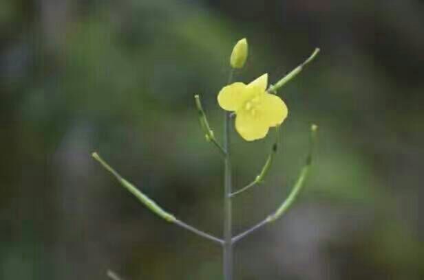 看完这些摄影作品点评，你的摄影技能会有大幅提升