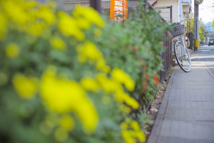 冬日和闺蜜出游,3天2夜的温泉之旅