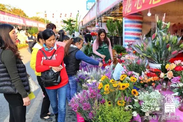 英德美丽的花街,英德花街