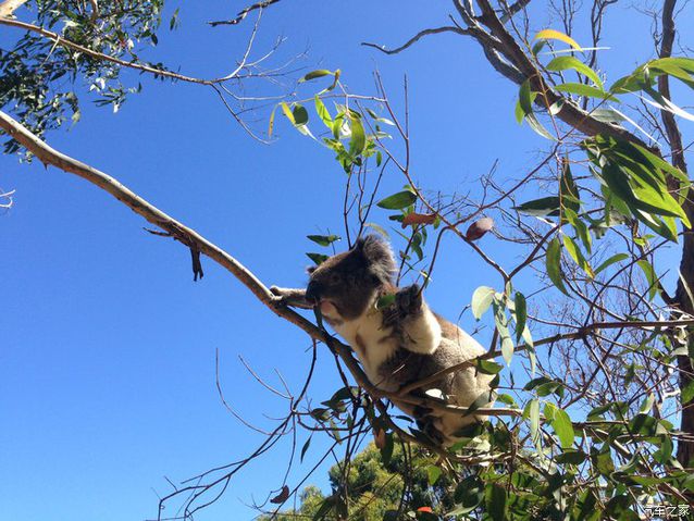 我心飞翔：“十年来最好的宝马”，车主半年实评