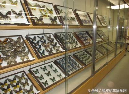 手账里的日本大学（八）九州大学