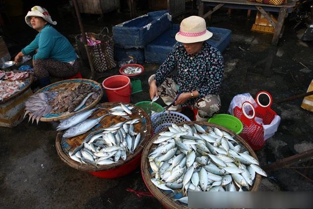 越南芽庄最新海鲜,实拍越南的海鲜集市