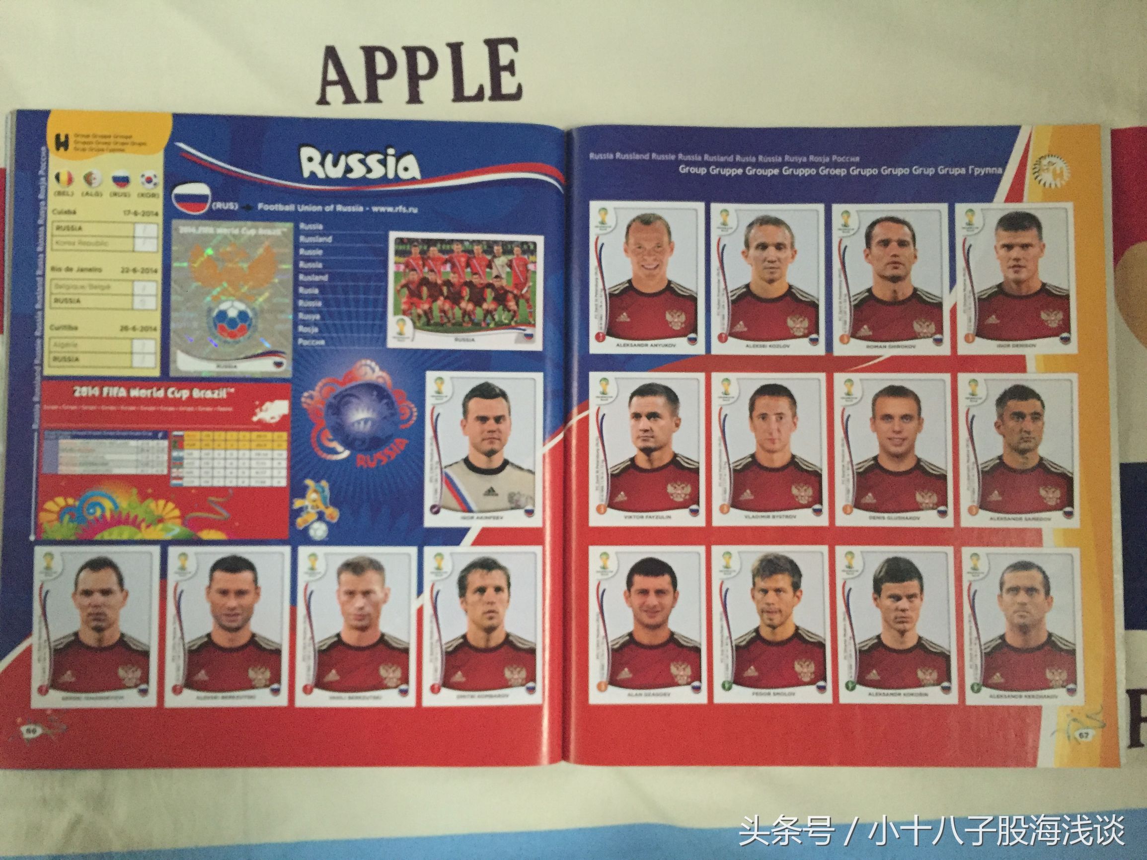 帕尼尼世界杯贴纸,帕尼尼2022世界杯收藏贴纸