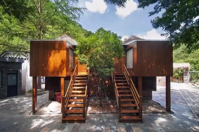 田螺姑娘在水里,水缸里的田螺姑娘