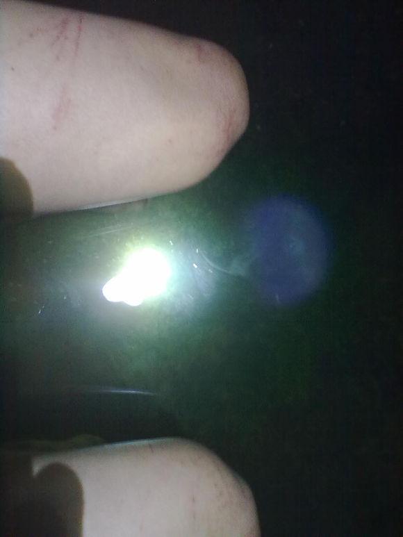 在农村钓鱼用什么虫子,农村钓鱼用什么饵料最好