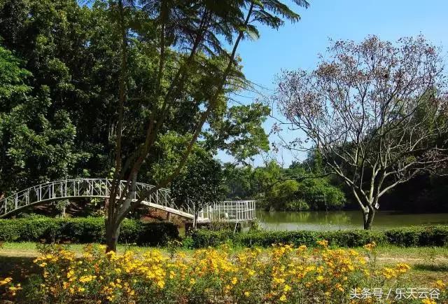 台湾游！买年货、穿新衣，准备过好年！