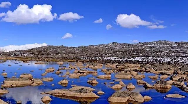 成都到云南春节自驾攻略,春节前自驾去成都过年