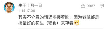 老鼠存一年的花生被车主发现,老鼠存花生被车主发现