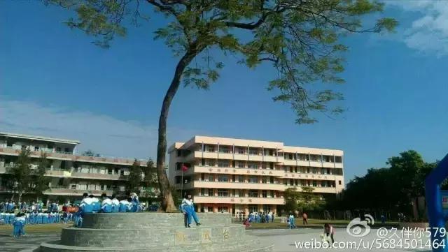 致所有在石滩读过书的同学,回去再看母校一眼吧!