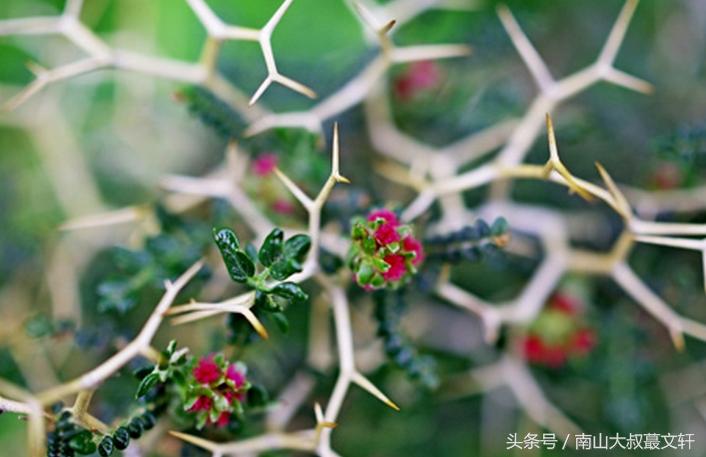 做人要活出自己的模样,做人要个性强