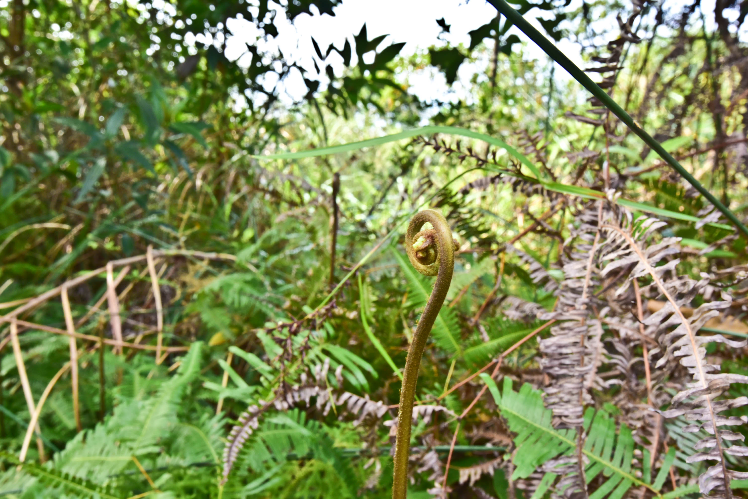 兔子游云南,兔子游老君山视频