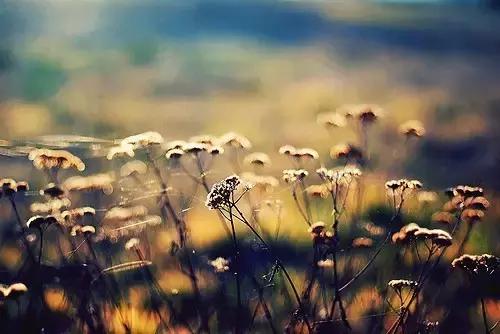 个性签名简单干净正能量短句,经典一句话个性签名句句正能量