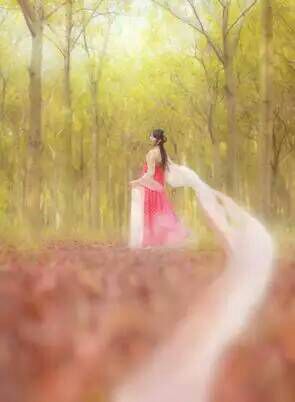 给摄影爱好者的十二条摄影经验,看完这组摄影作品你还淡定吗