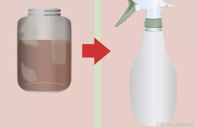 家庭园艺常用杀虫剂,固体杀虫剂使用方法养花