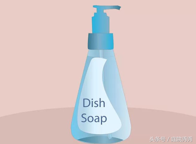 家庭园艺常用杀虫剂,固体杀虫剂使用方法养花