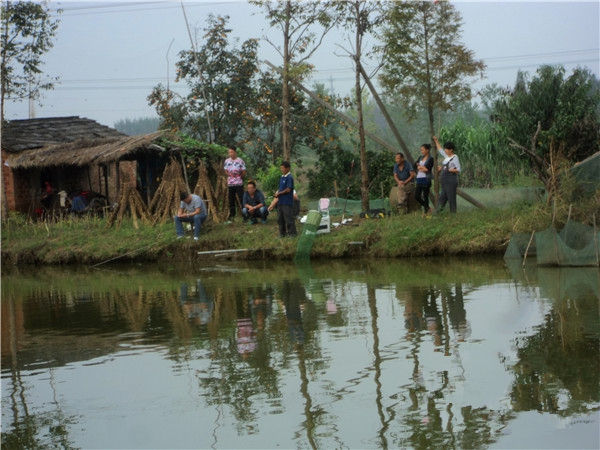 新手池塘养鱼知识大全,农村养鱼新手技术大全视频