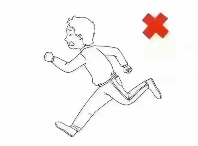 如果老虎遇到棕熊该怎么办,在遇到老虎时如何自救