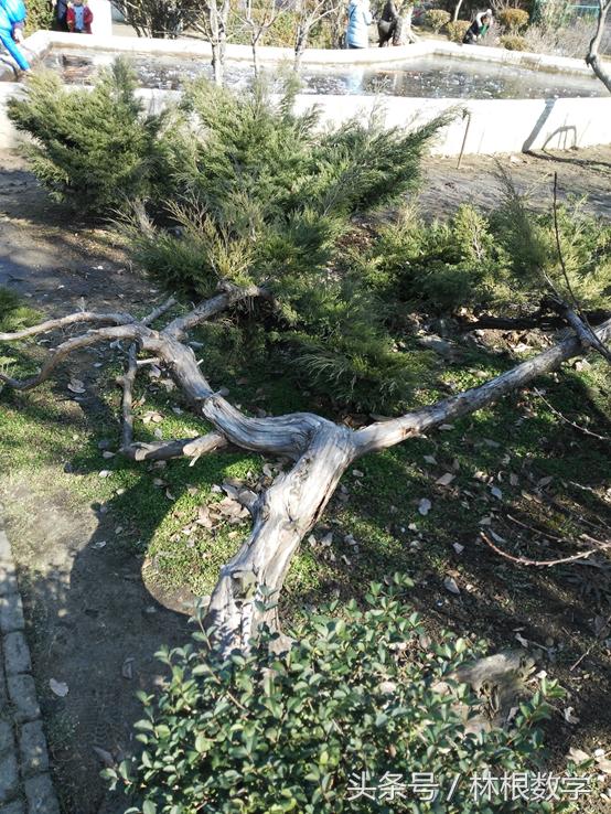 数字三孔—春节寻根之旅