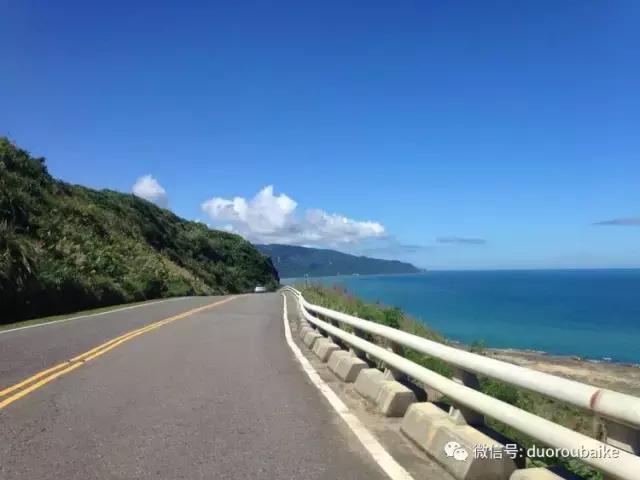 春节花市的鲜花,春节能看花的植物