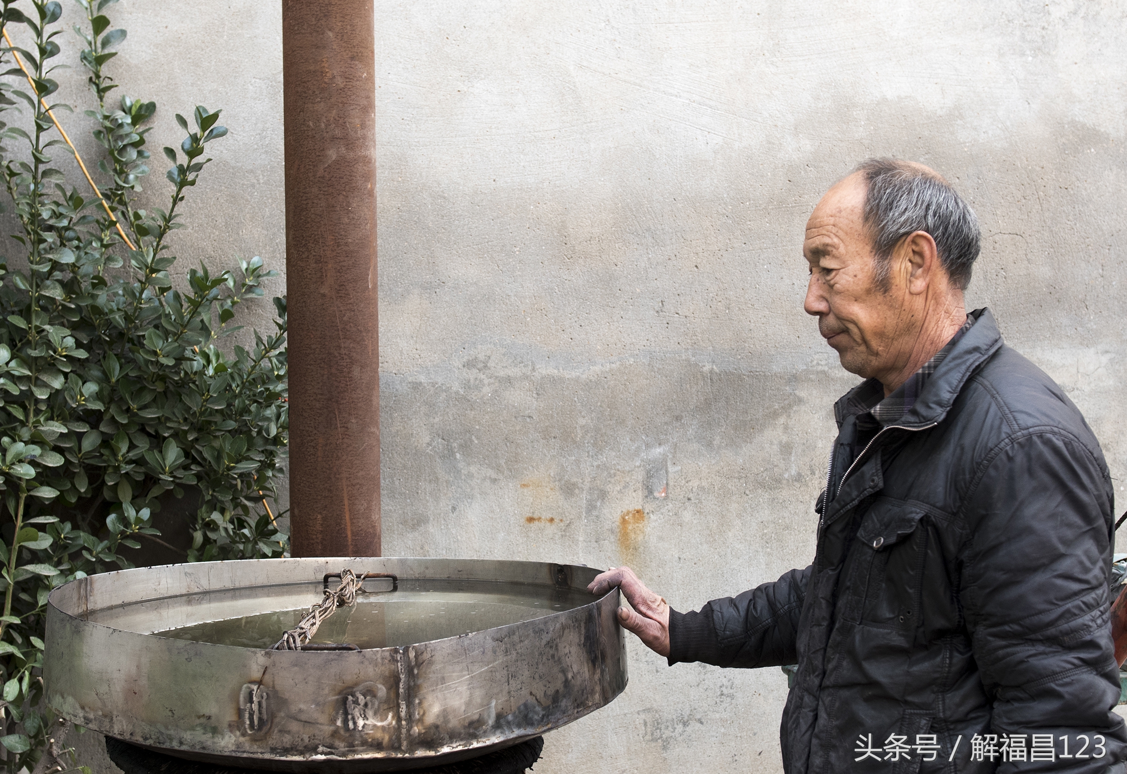 山西省万荣县柿子酒,山西酿造柿子酒