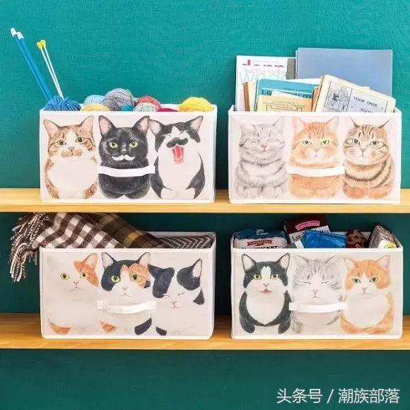 猫控保健,猫控送什么礼物