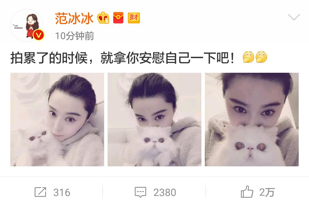 范冰冰微博被猫抢镜 (范冰冰有没有带美瞳)
