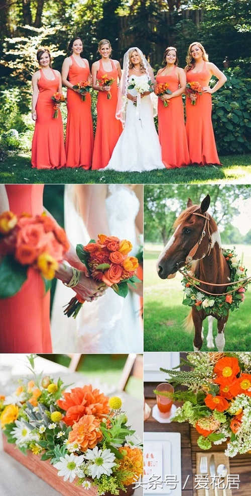 花艺配色详解大全,春夏秋冬花艺大全