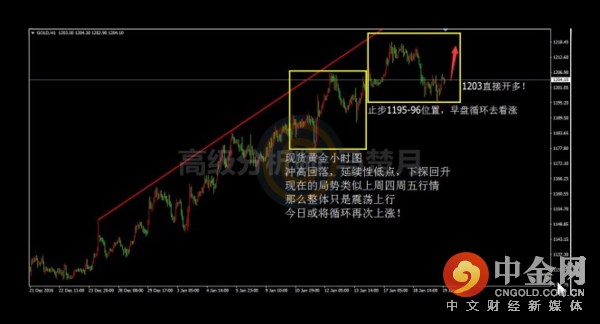 今日黄金原油白银操作建议和分析,现货原油黄金最新操作建议